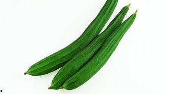 白水女吃瓜,揭秘娱乐圈背后的秘密与八卦