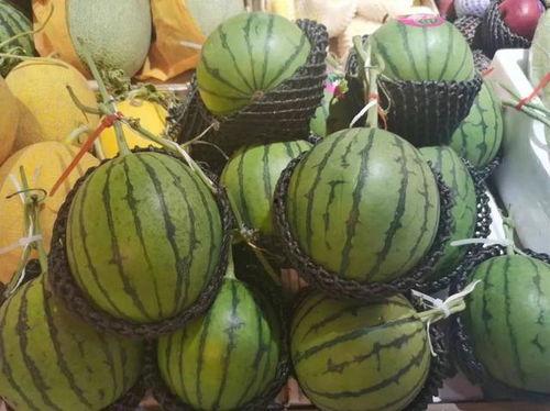 吃瓜视频吃糖,甜蜜糖分,带你领略网络娱乐新风尚