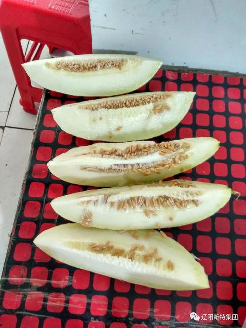 播放带你吃瓜,带你领略网络热词“吃瓜”的魅力与演变