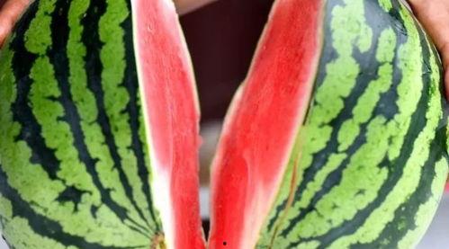 紫禁吃瓜,揭秘宫廷秘闻与民间趣事