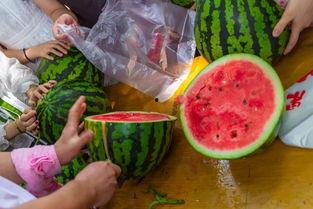 吃瓜视频长时间,揭秘娱乐圈幕后故事，带你领略明星真实生活