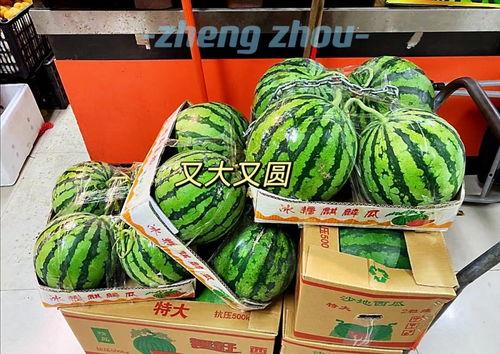 郑州彭清吃瓜,吃瓜群众的智慧与力量