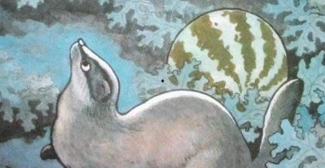 猹是吃瓜吗,揭秘它是否是吃瓜的神秘动物