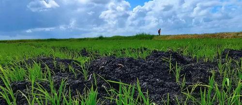 种地吃瓜视频素材