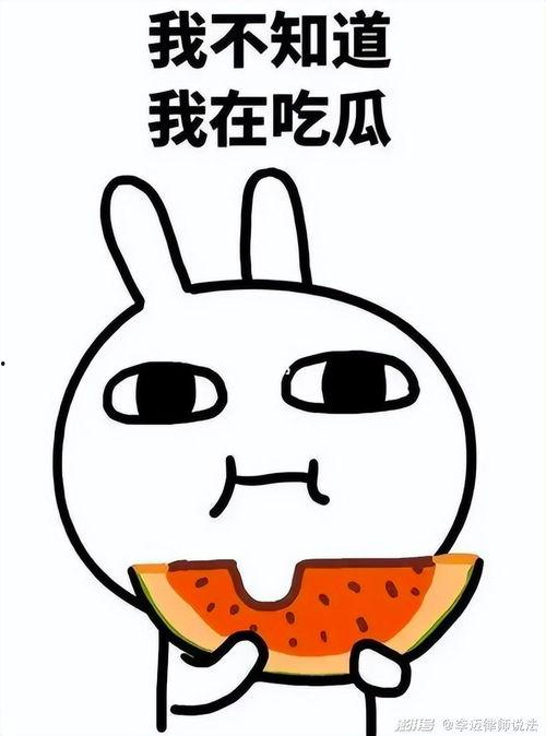 吃瓜不加载图片,轻松畅享无图新闻体验