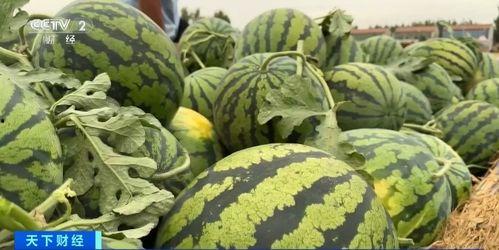 直击吃瓜,揭秘娱乐圈幕后真相