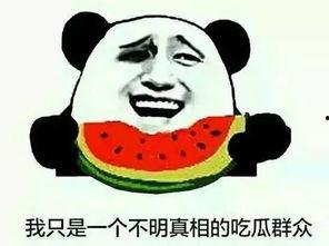 吃瓜热门视,揭秘娱乐圈幕后故事