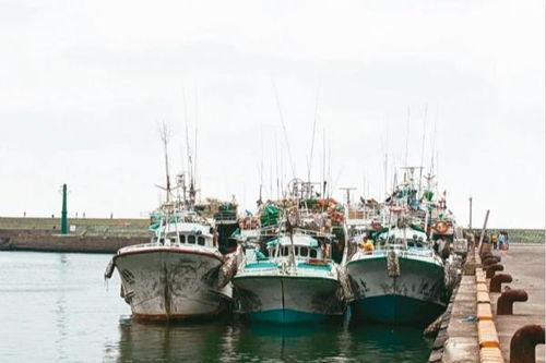 吃瓜船高雄,揭秘台南美食之旅