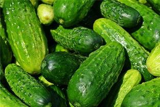 挽梦吃瓜,揭秘娱乐圈背后的故事与真相