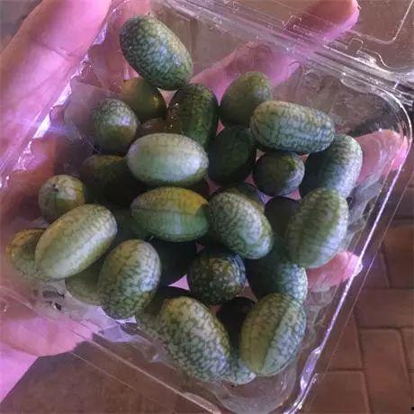 吃瓜群众手中的西瓜,揭秘吃瓜群众手中的西瓜传奇