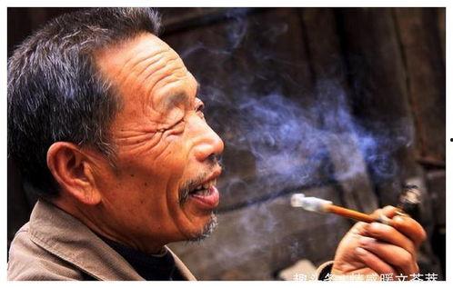 农村老汉吃瓜视频,笑谈丰收喜悦