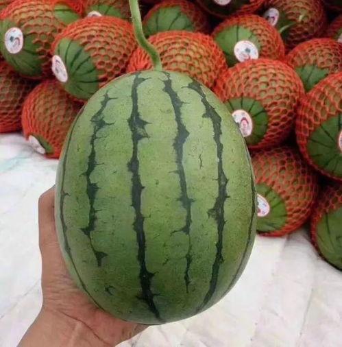 吃瓜小困,揭秘娱乐圈那些不为人知的幕后故事