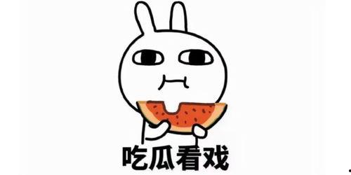 吃瓜文案图片可爱,可爱吃瓜文案，带你领略夏日清凉风趣